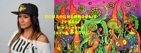 мяу мяу мука Беломорск