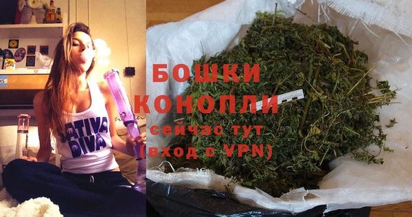 мяу мяу мука Беломорск