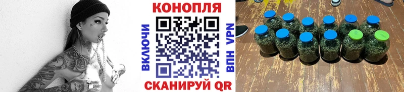 ссылка на мегу как зайти  Чкаловск  Каннабис THC 21%  продажа наркотиков 